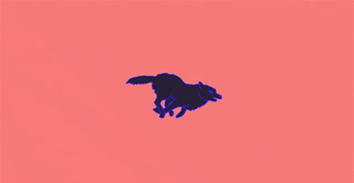 Running Wolf The Imbeciles GIF. This 498 x 258 animated GIF is part of our running wolf collection. Related themes include running, wolf. Created by…