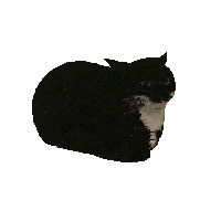 Rupert Cat Sticker