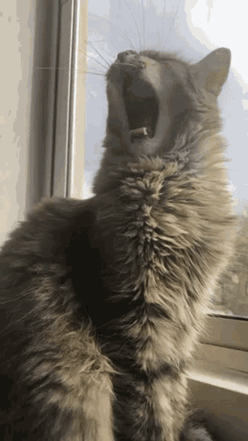Rusalka Yawn GIF