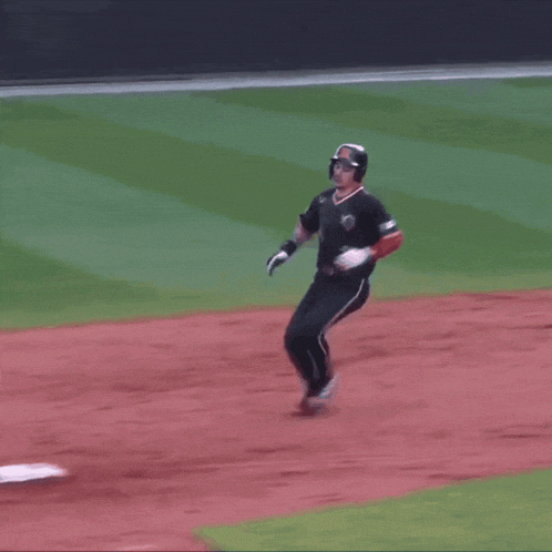 Rutgers Rutgers Baseball GIF