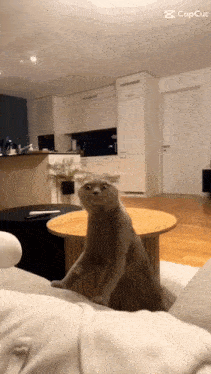 S GIF