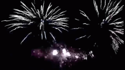 S1nnr3 S1nn3r GIF