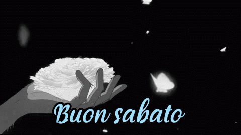 Sabato Buon Sabato Buon Fine Settimana Buona Serata Fiore Farfalla Magia GIF