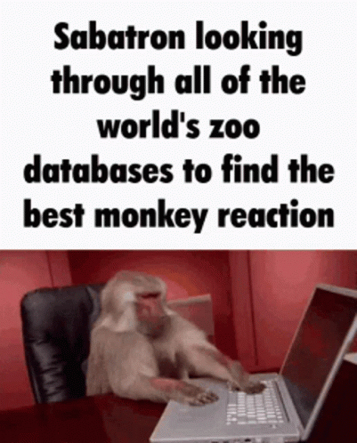 Sabatron Monkey GIF. This 401 x 498 animated GIF is part of our crazy typing collection. Related themes include funny monkey, monkey, search. Created by…