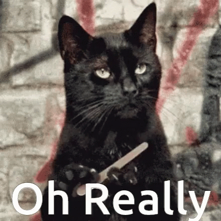 Sabrina The Teenage Witch Salem GIF