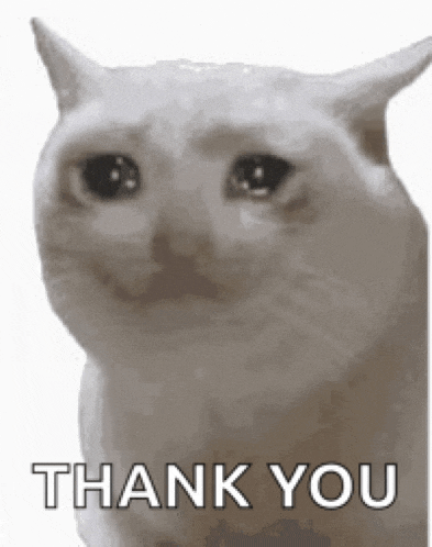 Sad Cat Meme