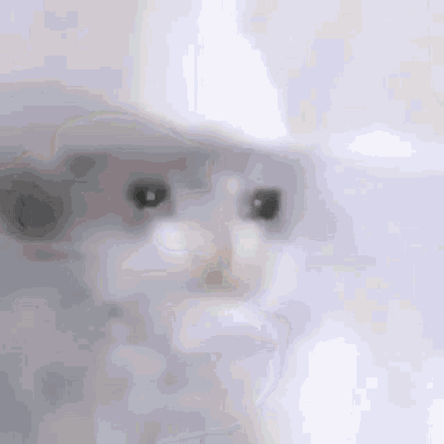 Sad Cat GIF