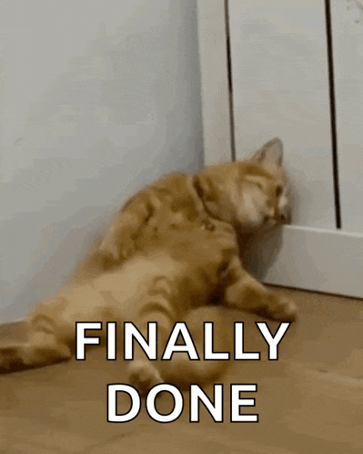 Sad Cat GIF