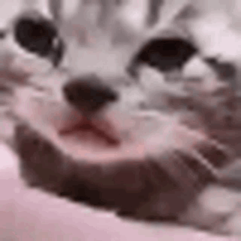 Sad Cry GIF