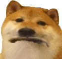 Sad Dog Sticker