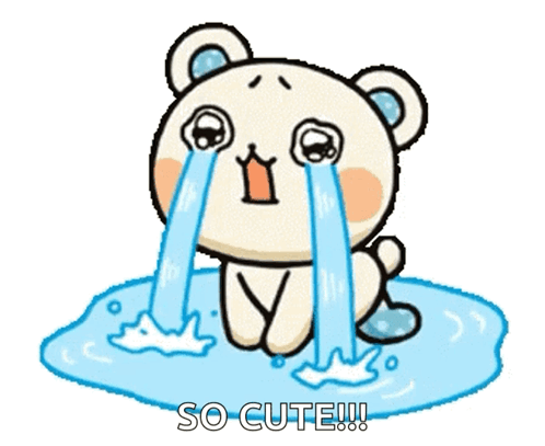 Sad Face Bear GIF