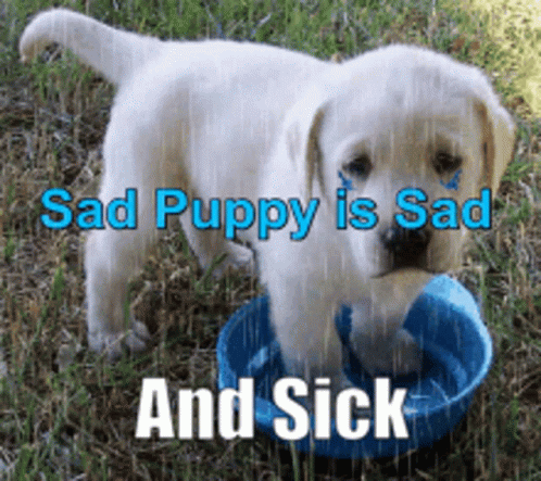 Sad Puppy Sick GIF
