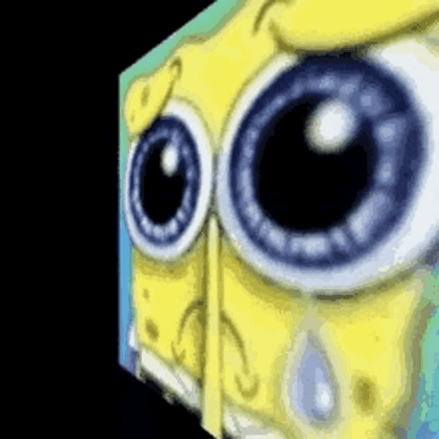 Sad Spongebob Meme Meme