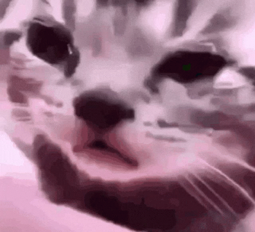 Sad GIF