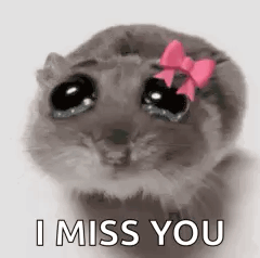 Sadhamstergirl GIF