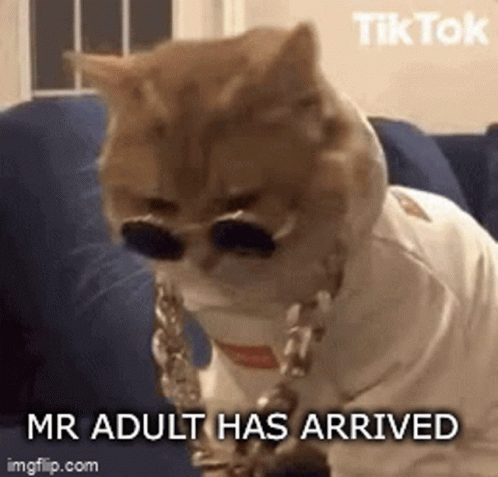 Safemoon Adult GIF