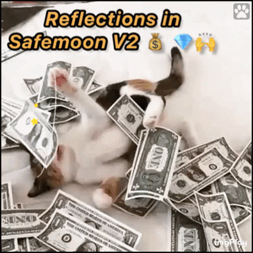 Safemoon Reflections GIF