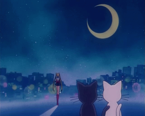 Sailor Moon Luna GIF