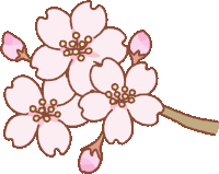 Sakur A Sticker