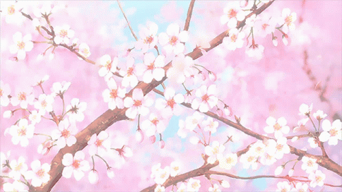 Sakura Anime GIF