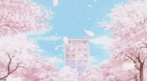 Sakura GIF