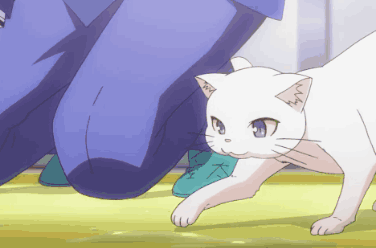 Sakurasou No Pet Na Kanojo Sakurasou GIF