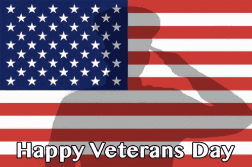 Salute The Flag GIF