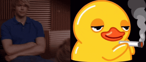 Sam Evans Tanasbian GIF