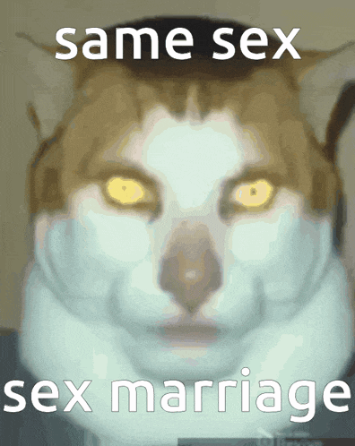 Same Sex Marriage Gay GIF