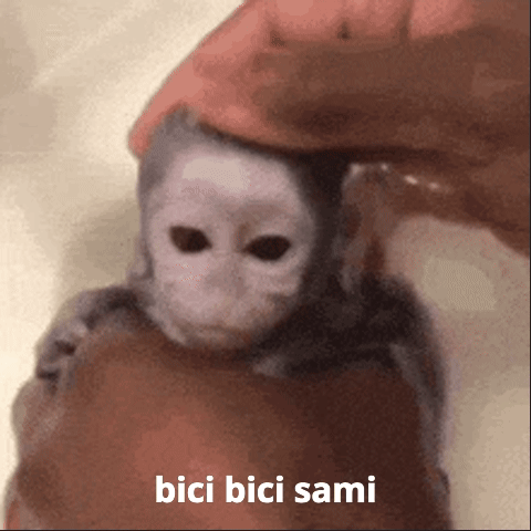 Sami Bici Bici Sami GIF