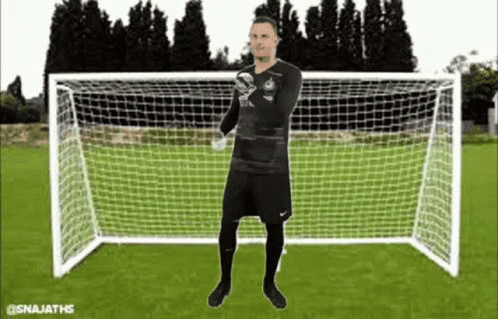 Samir Handanovic GIF