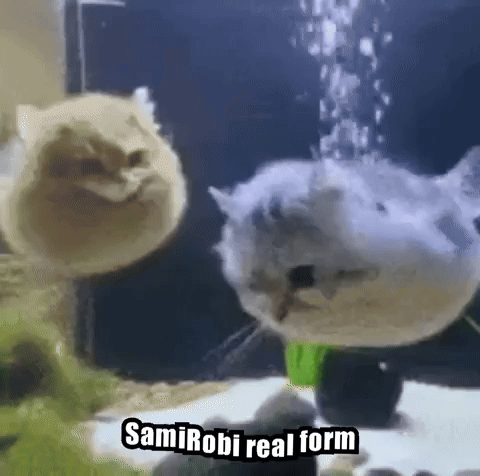 Samirobi Canon Funny GIF