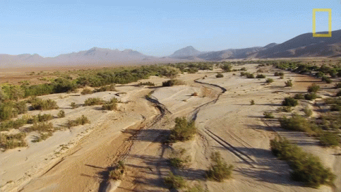 Sand Rivers Protecting The Black Rhinos GIF