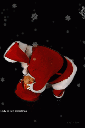 Santa Christmas Gifts GIF