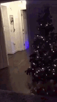 Santa Fail GIF