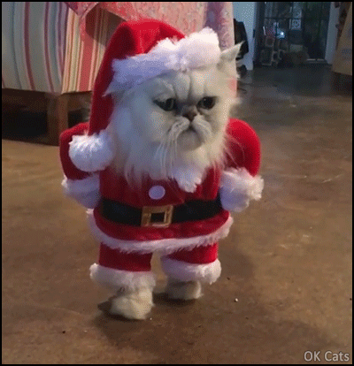 Santa Holiday GIF. This 400 x 414 animated GIF is part of our santa collection. Related themes include cat, cute, funny. Created by Allykaymoms. View the…