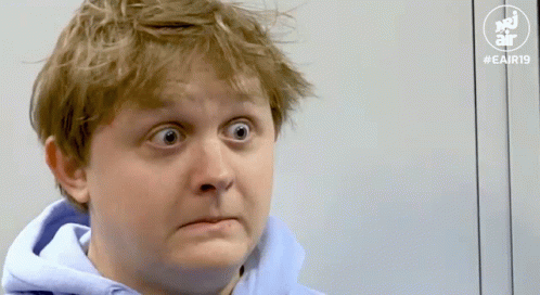 Sarahmcfadyen Lewis Capaldi GIF