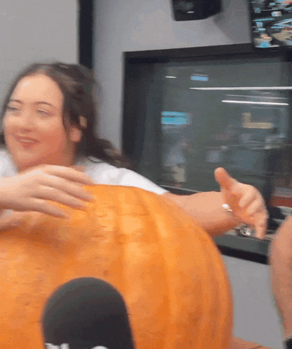 Sarahmcfadyen Megandguygifs GIF