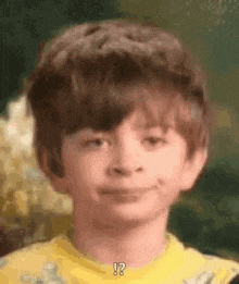 Sarcastic Smile GIF