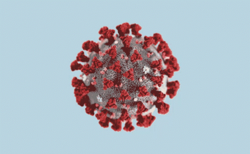 Sarscov2 GIF