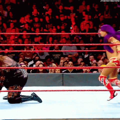 Sasha Banks Bulldog GIF