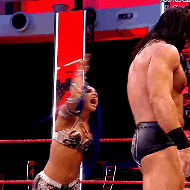 Sasha Banks Hello There Mister GIF