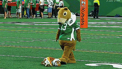 Saskatchewan Roughriders Gainer The Gopher GIF. This 498 x 280 animated GIF is part of our stop hes already dead collection. Related themes include the…