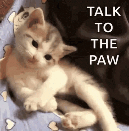 Sassy Funny GIF