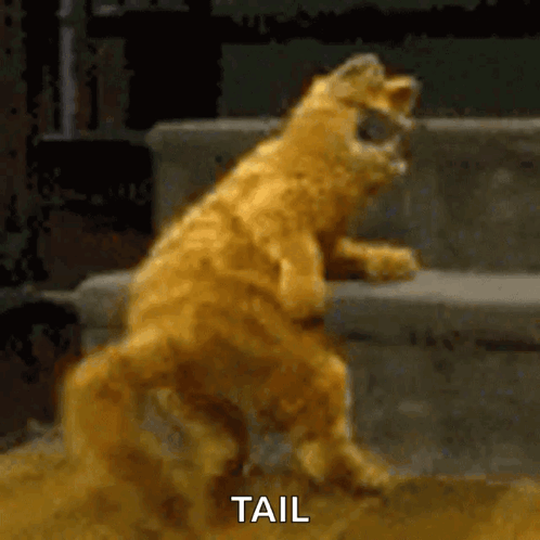 Saturday Garfield GIF