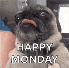 Saturday Good GIF