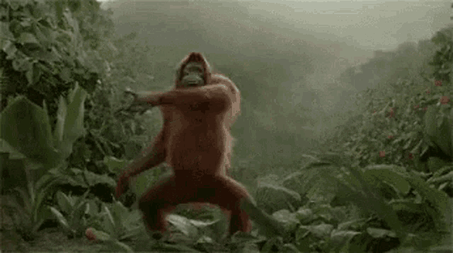 Saturday Happy Weekend GIF
