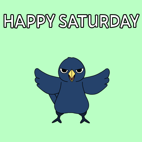 Saturday Saturdays GIF