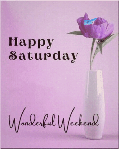 Saturday GIF