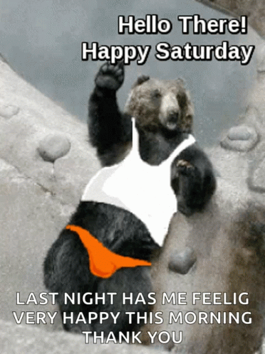 Saturday Weekend GIF. This 373 x 498 animated GIF is part of our lustige bilder samstag collection. Related themes include bear, happy saturday, hello…